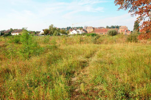 Hier  soll bald das Neubaugebiet &#8222;Untere Grten&#8220; entstehen.  | Foto: Agnes Pohrt