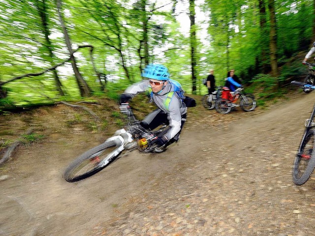 Mountainbiker im Freiburger Stadtwald  | Foto: INGO SCHNEIDER
