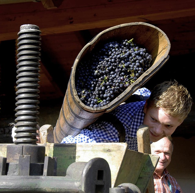 Es ist gar  nicht so einfach, die Trau...en, erfuhr mancher beim Schautrotten.   | Foto: Roland Vitt