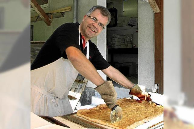 Zwiebelwhe auf der Sonnenwiese