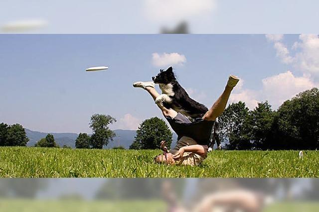 Hundefrisbee im Dreisamtal