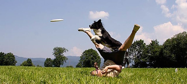 Fang die Scheibe: Fresbee fr den Hund   | Foto: Veranstalter