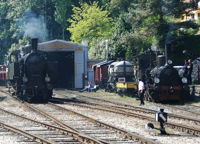 Statt des &#8222;Chanderlis&#8220; (re...agier durch das Kandertal kutschieren.  | Foto: . LANGELOTT