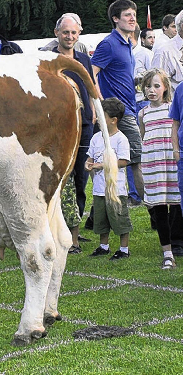 Auf welchem Feld landet der erste Kuhf...a  die   Jugendarbeit von Laufenburg.   | Foto: BZ