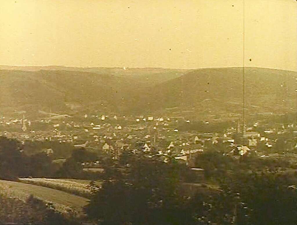 Blick vom Schutterlindenberg auf Lahr