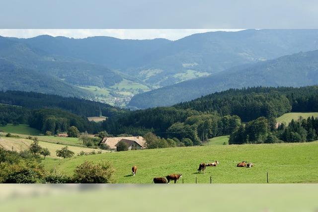 Aus allen Richtungen zum Reinertonishof