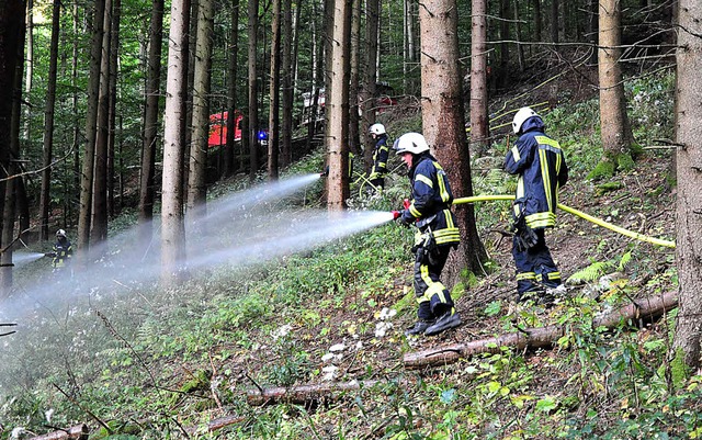 Den Ernstfall geprobt: Die Feuerwehr E...uf bei einem groflchigen Waldbrand.   | Foto: privat