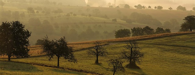 Der Dinkelberg ist eine faszinierende ... oberhalb von Minseln entstanden ist.   | Foto: Martin Schulte-Kellinghaus