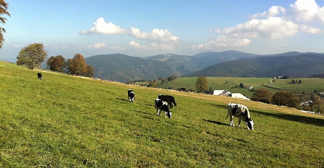 Herrliches Sptsommerwetter genossen a...Tausende von Schauinsland-Ausflglern.  | Foto: frank zimmermann