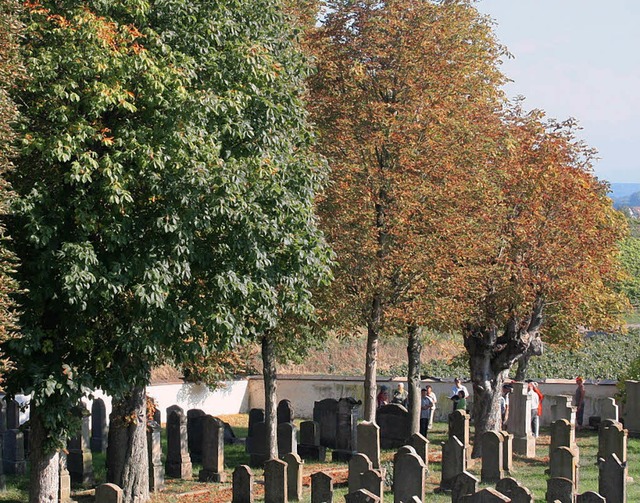 Die Mitglieder der Ihringer Schutzgeme...uf dem jdischen Friedhof in Ihringen.  | Foto: Elisabeth Jakob-Klblin