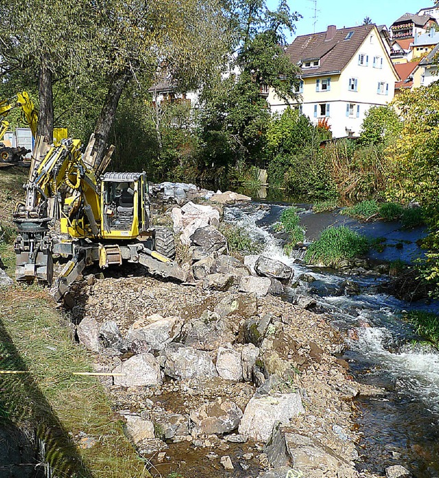 Unter der Brcke und in der Gutach in neustadt wird gebuddelt 