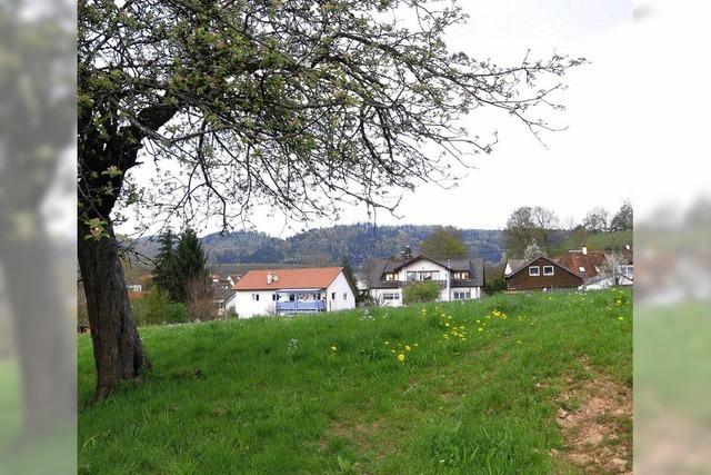 Hofcker-Anlieger sind nicht erbaut