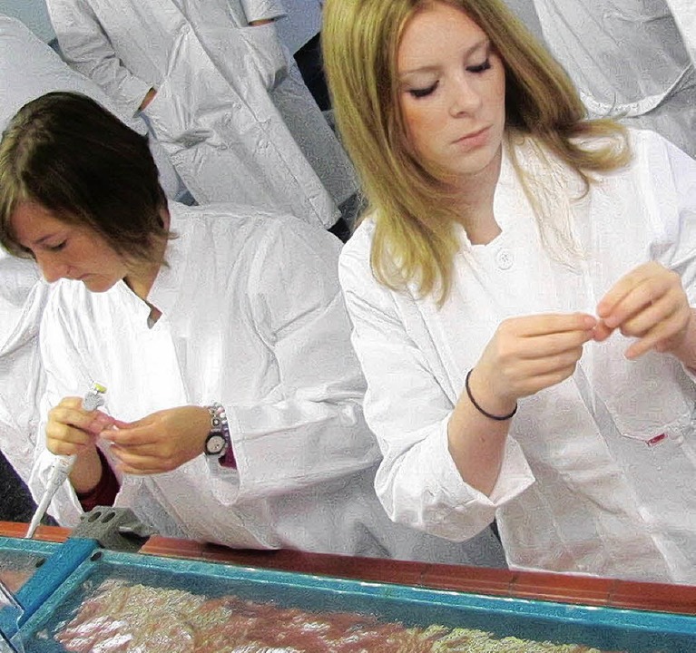 Schüler aus Bad Krozingen üben sich als Wissenschaftler.  | Foto: privat