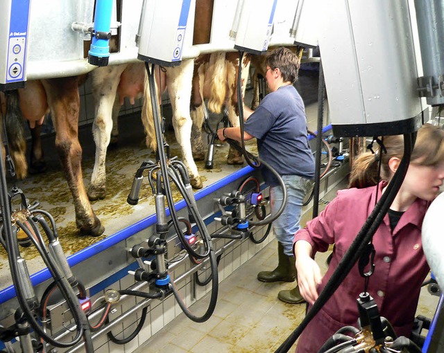 Eine neue Errungenschaft des Vogtsjose...ihre Tchter jeden Tag zu Gange sind.   | Foto: Kurt Meier