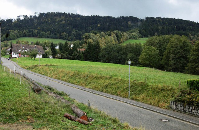 Wo die Hecke (rechts) endet knnte bis...rhalb ein neues Wohngebiet entstehen.   | Foto: Ringwald