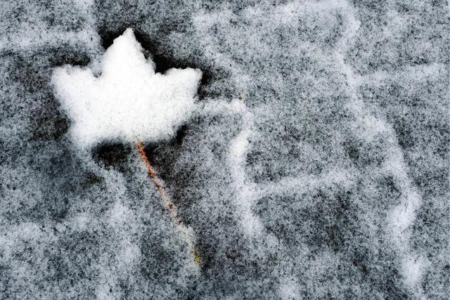 Fotos: Der erste Schnee auf dem Feldberg