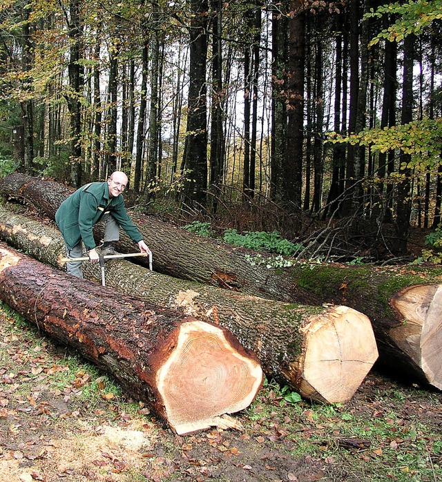 Unerschpflich sind auch die Holzreserven nicht.  | Foto: KANMACHER