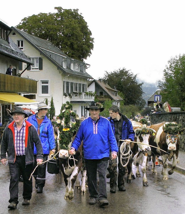 Viehabtrieb  in Oberried: Zuschauer be... Tieren bei der Ankunft unten im Tal.   | Foto: Monika Rombach