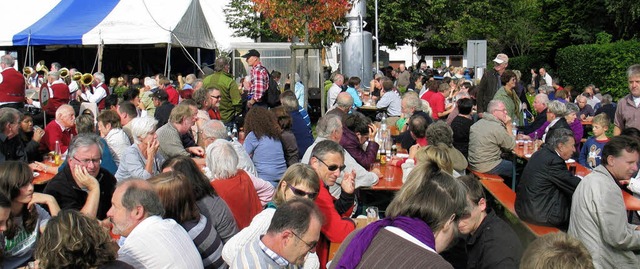 Beste Stimmung herrschte am Sonntag au...ut besuchten   Dmpfifest in Mappach.   | Foto: Schtz