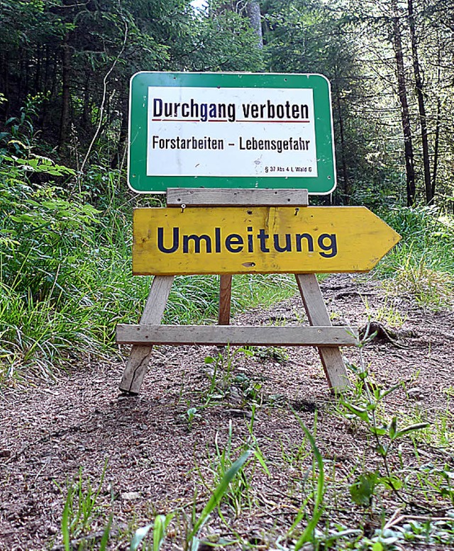 In den Wldern wird noch eifrig gesgt...llerdings keine Wege mehr versperren.   | Foto: Winckelmann
