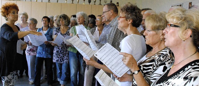 Bei einem Probenwochenende   bereitete...ine Kirchenkonzerte Ende Oktober  vor.  | Foto: Maja Tolsdorf