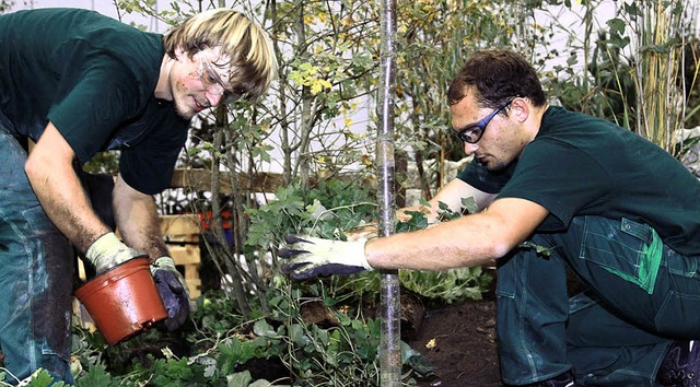 Die angehenden Landschaftsgrtner Jona...bepflanzten  ihren Wettbewerbsgarten.   | Foto: Augala