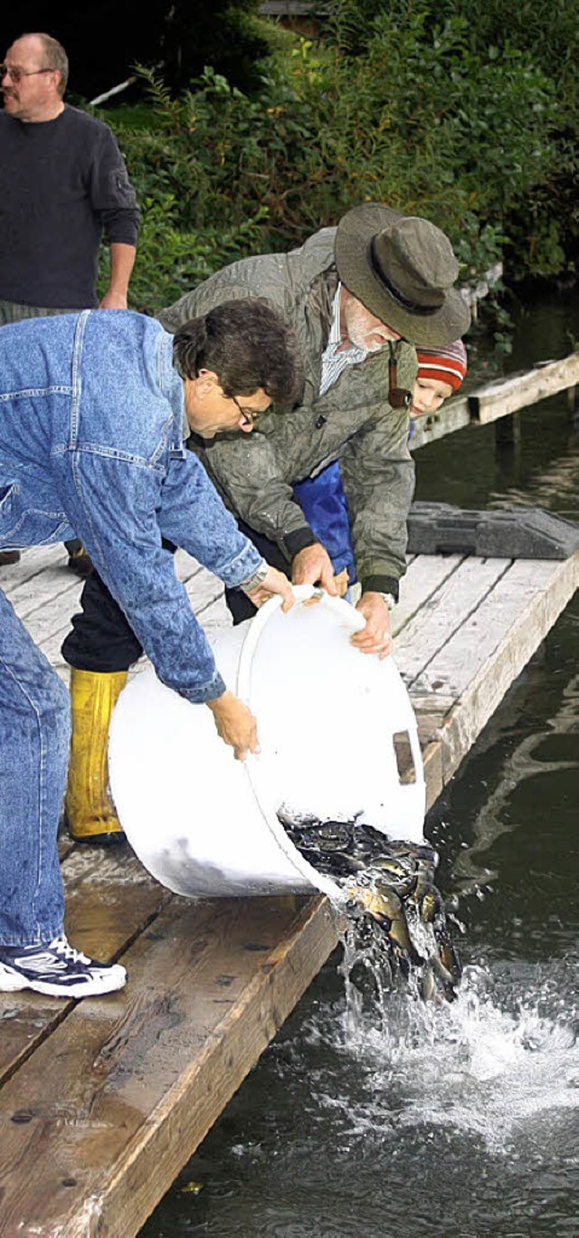 500 Kilo  Schleien haben die Fischereivereine im Rhein ausgesetzt.   | Foto: Heiner Fabry