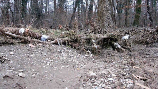 berflutungen hinterlassen Schden und...seitigung wird sich  das Land kmmern.  | Foto: Ilona Hge