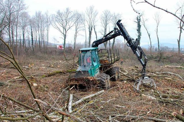 Brgerinitiative lehnt Querdamm im Rheinwald weiter ab