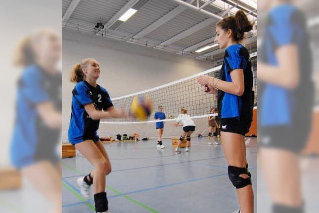 Cesars Siege: Veni, Vidi, Volleyball