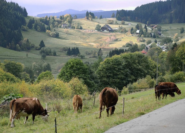 Auenbereichssatzung fr Lenzkirch Oberdorf  | Foto: Ralf MOrys