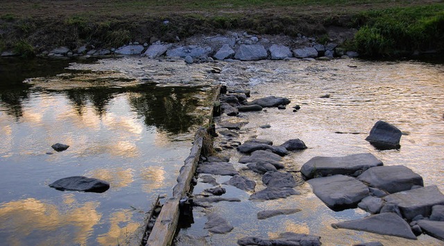 Nicht geeignet fr Junglachse? Die Dreisam bei Umkirch.  | Foto: Frietsch