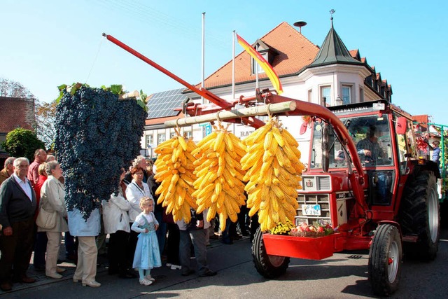 Am Sonntag fand in Ihringen der tradit...it einem bunten Brauchtumsumzug statt.  | Foto: Christine Aniol