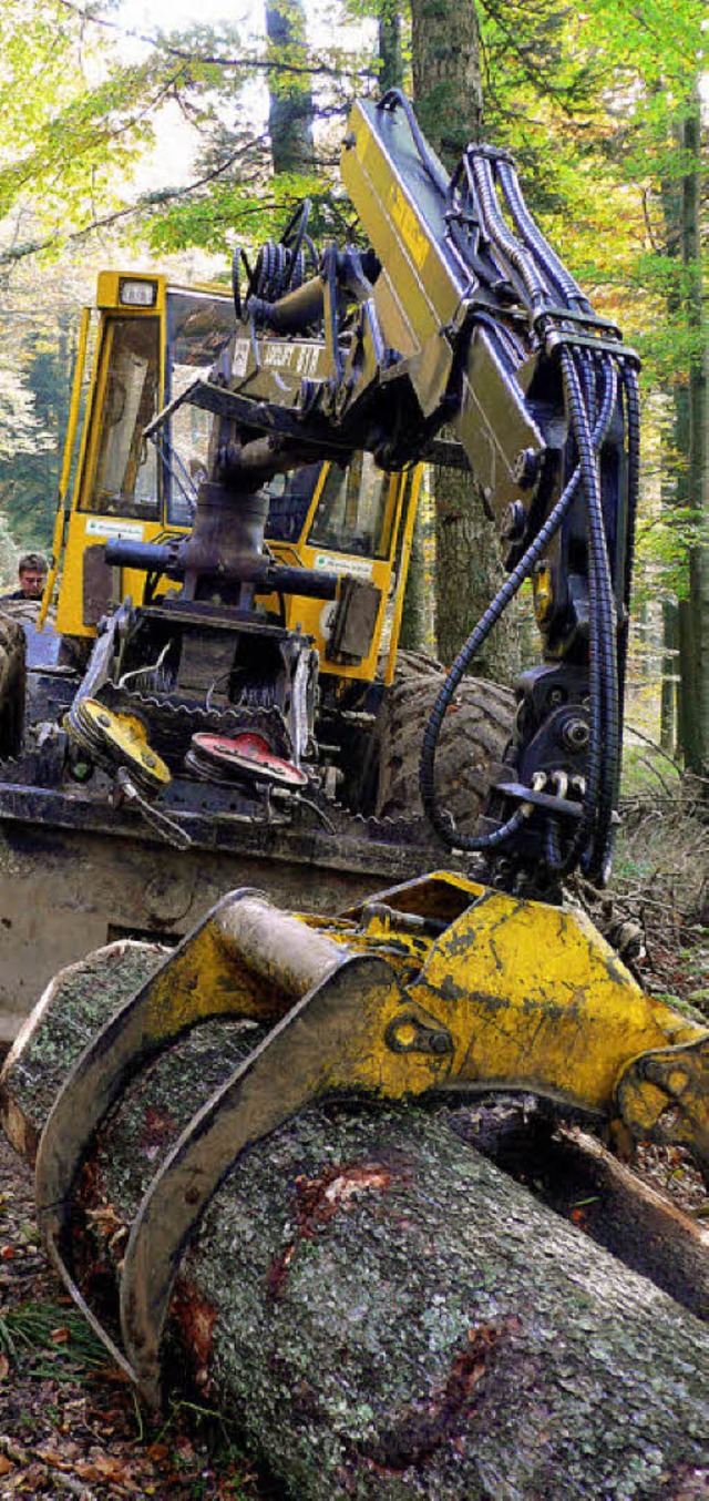 Beim Einsatz groer Holzernte-Maschinen sind gute Waldwege erforderlich.  | Foto: Eberhard Weiss