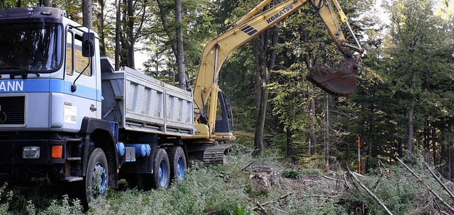 Waldwegeprozess Wagner vs. Stadt Wehr;...umstrittenen Wege in Gnningen beginnt  | Foto: Barbara Schmidt