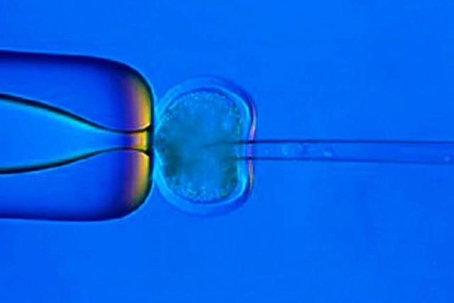 EU-Gericht verbietet Patent auf embryonale Stammzellen