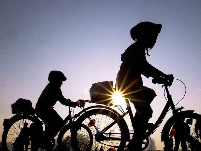 Nicht nur Kinder fahren mit Helm sicherer.  | Foto: dapd