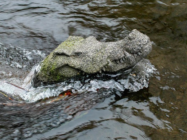Das Krokodil im Gewerbekanal der Fischerau.   | Foto: Ingo Schneider