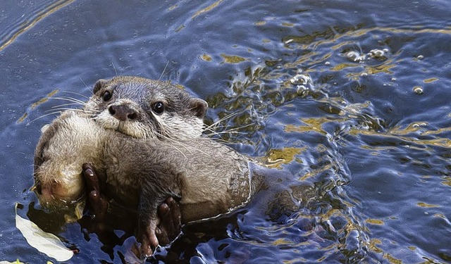   | Foto: Zoo Basel