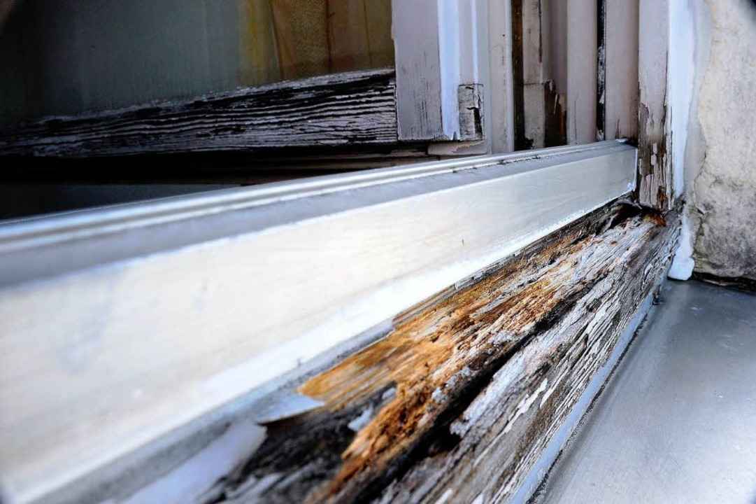Undicht, morsch, verfault. Ein Fensterrahmen bei der Familie  Yassine   | Foto: Kunz