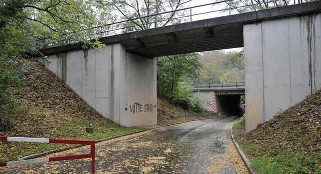 Neuenburger Industriegleisbrcke: Wass...ass  nicht mehr alles ganz dicht ist.   | Foto: Volker Mnch