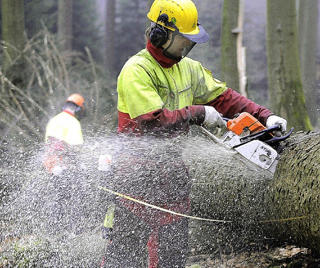 Der Wald bringt der Stadt ein sattes Plus.   | Foto: dpa