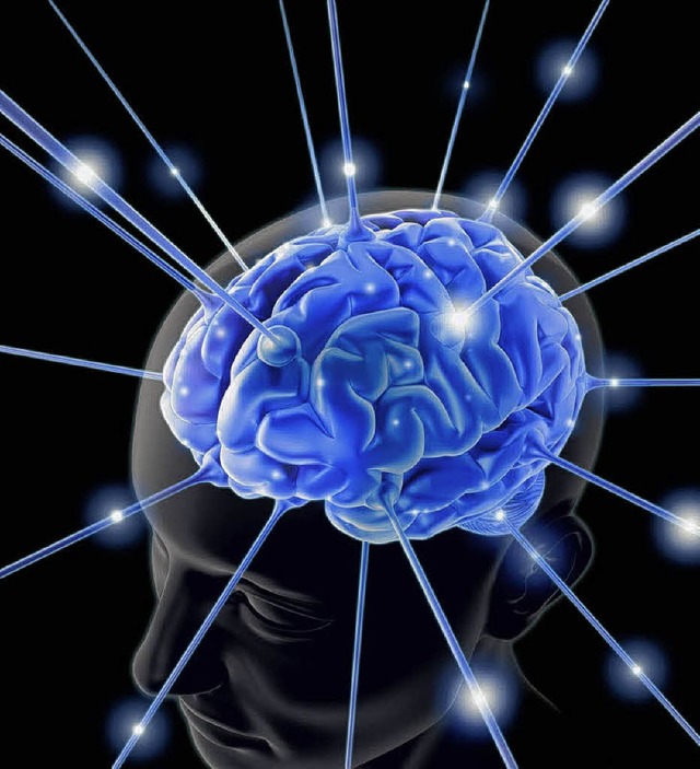 Das Gehirn ist der mit Abstand grte Energieschlucker im Krper.  | Foto:  fotolia.com/ktsdesign