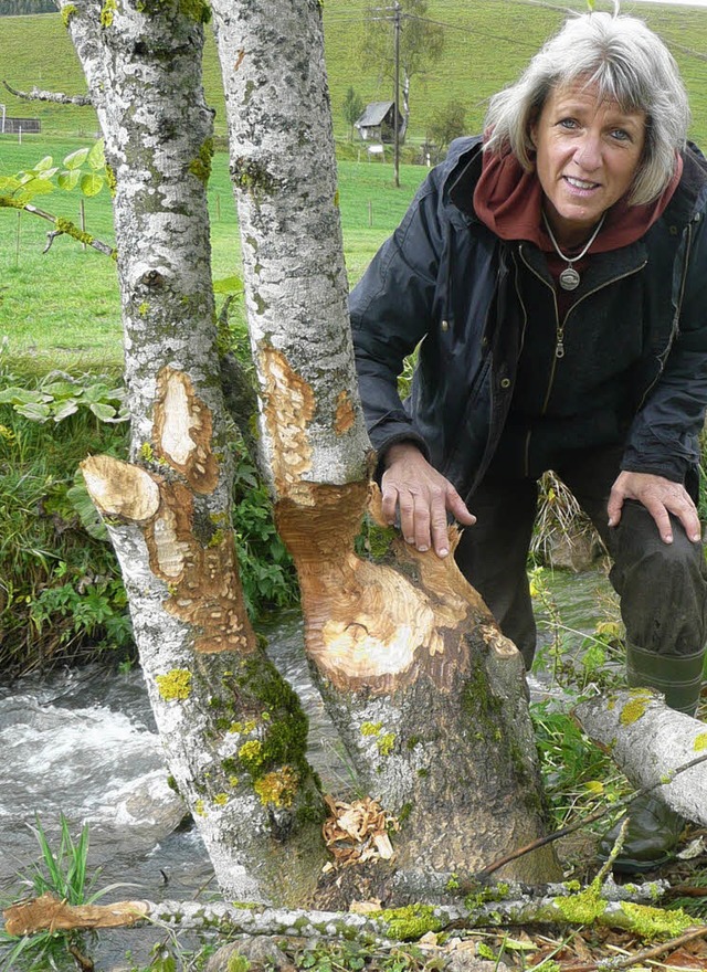 Biber-Expertin Bettina Sttele kennt die Lieblingspltze der Nager.    | Foto: p. stellmach