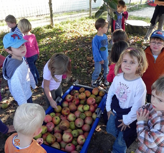 Wie wird der Apfel zu Saft? Dieser Fra...inder des Kindergartens Kirchen nach.   | Foto: privat