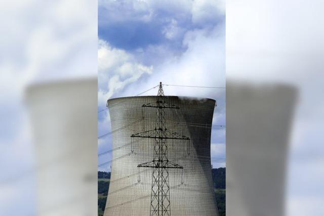Atomkraftwerk kämpft gegen Keime