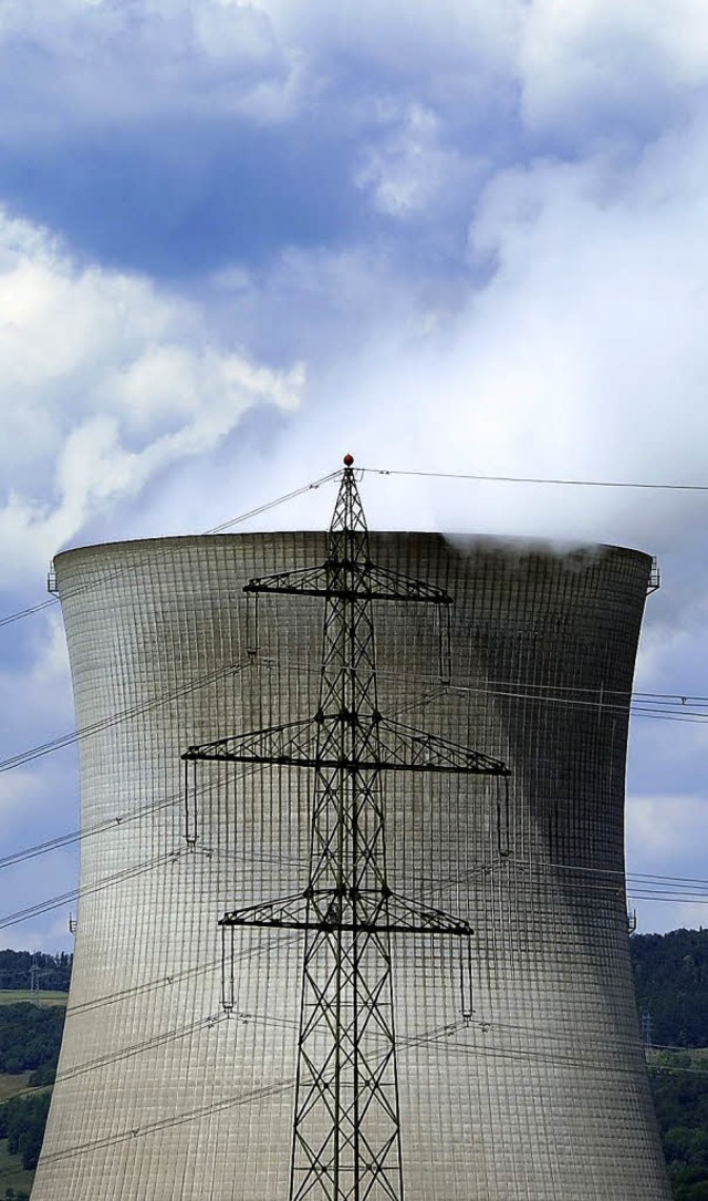 Hat Probleme mit Legionellen: das Atomkraftwerk Leibstadt  | Foto: AFP