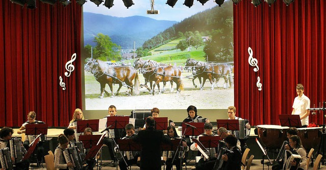 Erinnerungen an die Wienreise: der Harmonikaverein Geroldseck   | Foto: HEIDI FSSEL