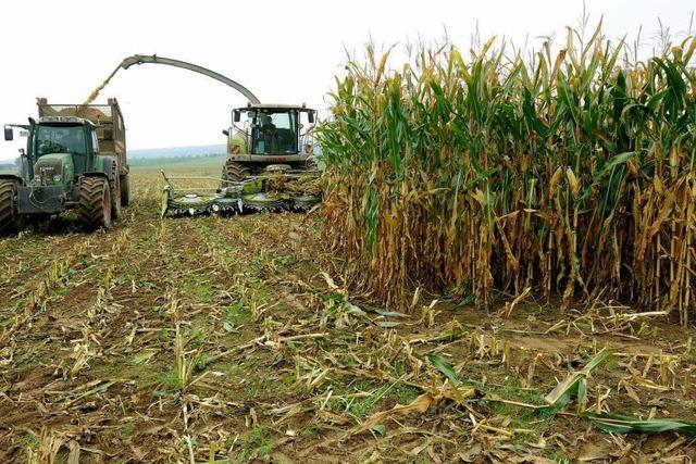 Zehn Prozent Biogas fr alle stdtischen Gebude