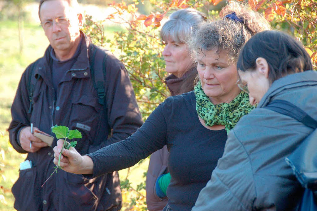 Viel Zuspruch fanden die 1. Badischen Krutertage in der neu renovierten Klosterscheune in Oberried.